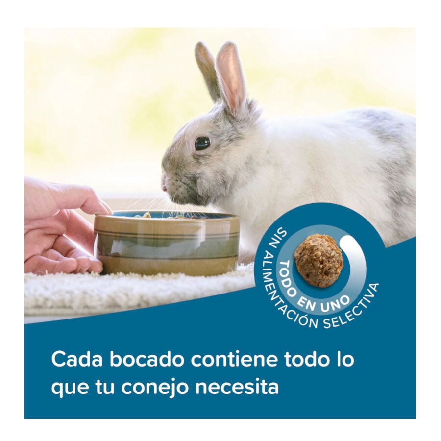 Beaphar Care+ Pienso para conejos, , large indicador imagen numero 6