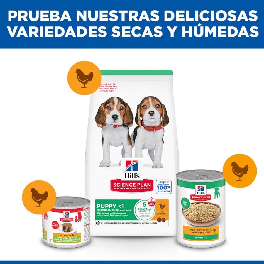 18 kg Hill's Science Plan Puppy Medium pollo pienso para perro, , large indicador imagen numero 8