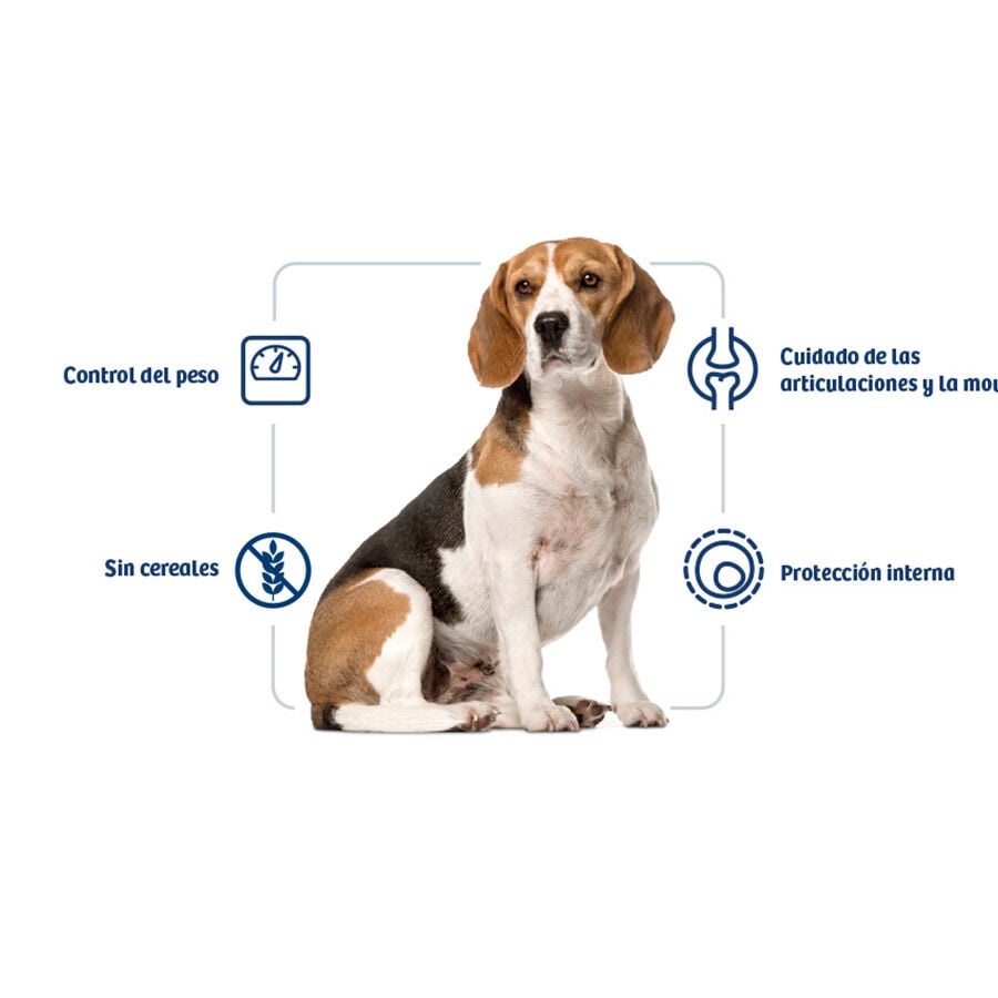 12 kg Nath Adult Medium Maxi Weight Control Pienso para Perros, , large Imagen numero 2