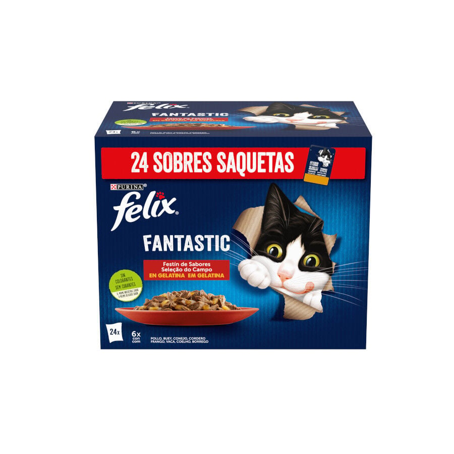 24 sobres x 85 g Felix Fantastic Carne en Gelatina sobre para gatos, , large indicador imagen numero 1