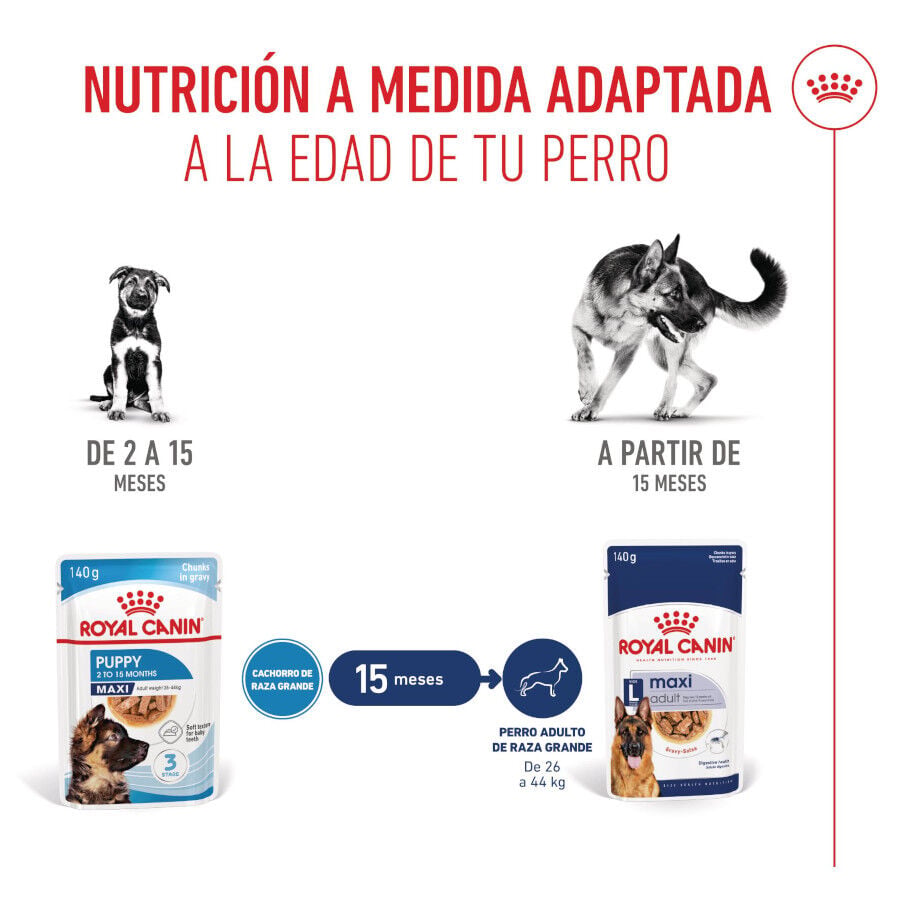 140 g Royal Canin H&uacute;medo Maxi Puppy, , large Imagen numero 6