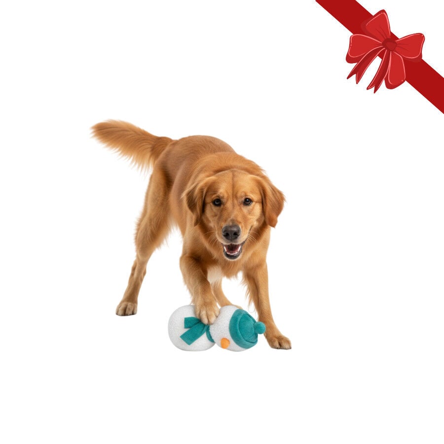 Wonder Christmas Peluche Mu&ntilde;eco de Nieve Navide&ntilde;o para perros, , large indicador imagen numero 1