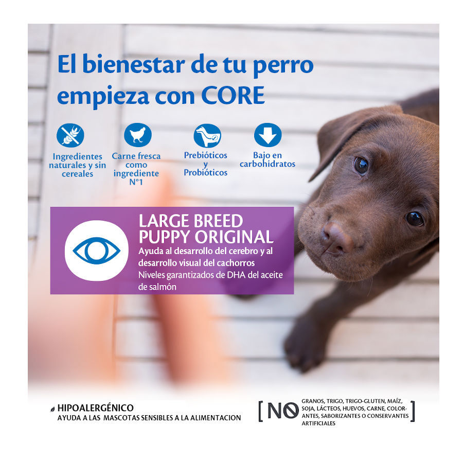 2.5 kg Wellness Core Puppy Large Original Pollo pienso para perros, , large Imagen numero 2