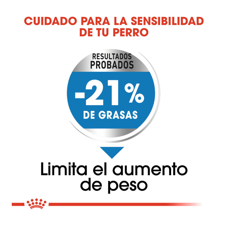 3 kg Royal Canin Medium Light Weight Care pienso para perros, , large indicador imagen numero 6