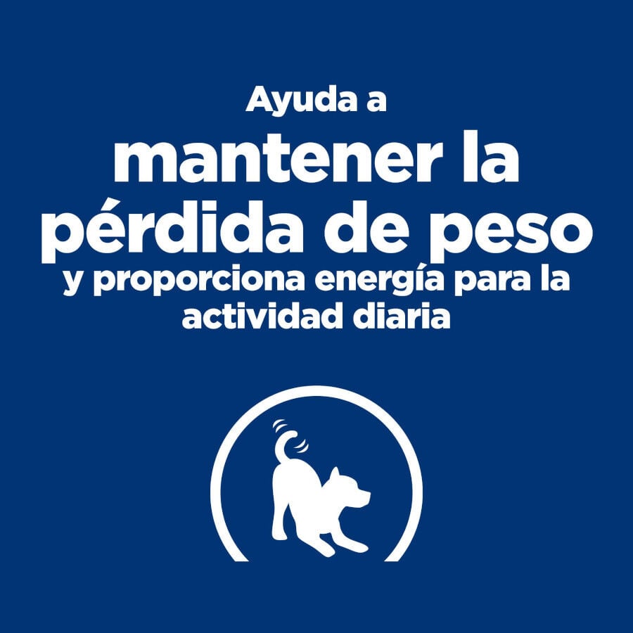 6 kg Hill's Prescription Diet Metabolic + Mobility Mini j/d pienso para perros, , large indicador imagen numero 3