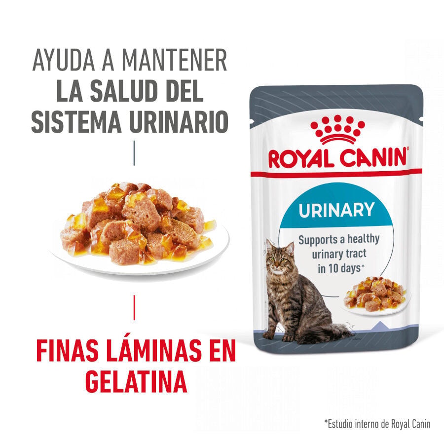 85 g Royal Canin Urinary Care Sobre en Gelatina para gatos, , large indicador imagen numero 2