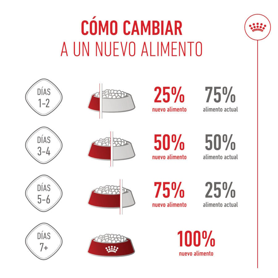3 kg Royal Canin X-Small Puppy pienso para perros, , large indicador imagen numero 10