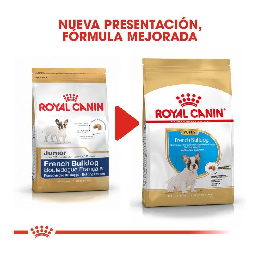 10 kg Royal Canin Puppy French Bulldog pienso para perros, , large Imagen numero 3