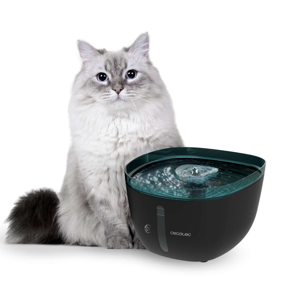 Cecotec Pumba 2200 Refresh Bebedero Autom&aacute;tico para perros y gatos, , large indicador imagen numero 3