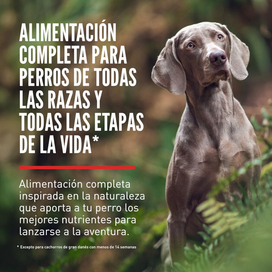 Orijen Tundra Pienso Seco Cordero y Ciervo para perros, , large Imagen numero 2