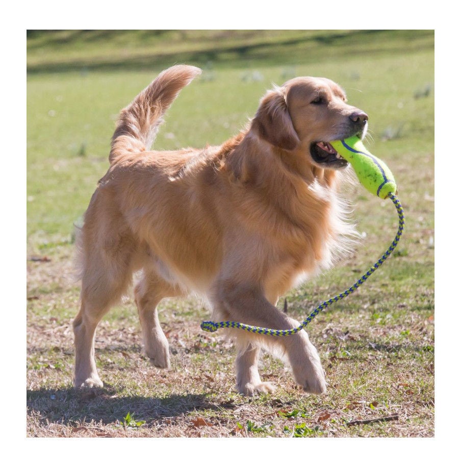 Kong Air Dog Squeaker Stick de juguete para perros, , large indicador imagen numero 2