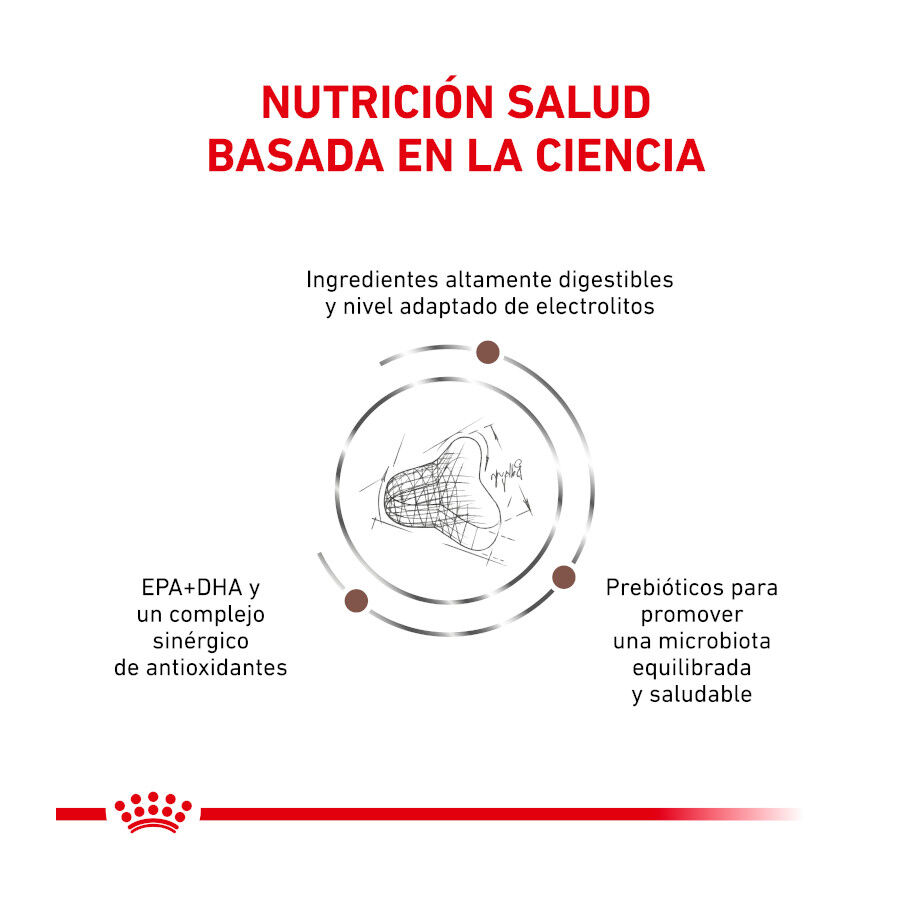 4 kg Royal Canin Veterinary Gastrointestinal Fibre Response pienso para gatos, , large indicador imagen numero 4