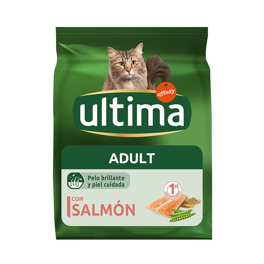 Affinity Ultima Adult Salm&oacute;n pienso para gatos