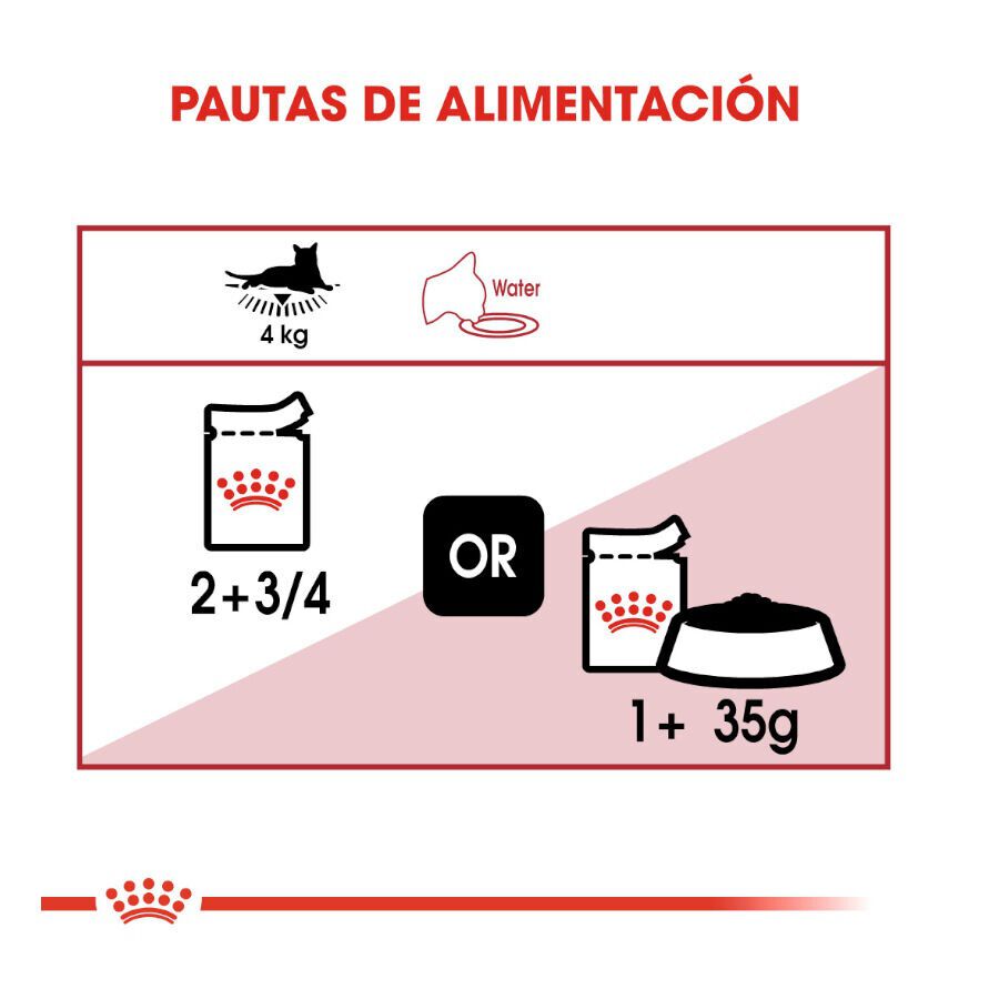 85 g Royal Canin Instinctive sobres en salsa para gatos, , large indicador imagen numero 8