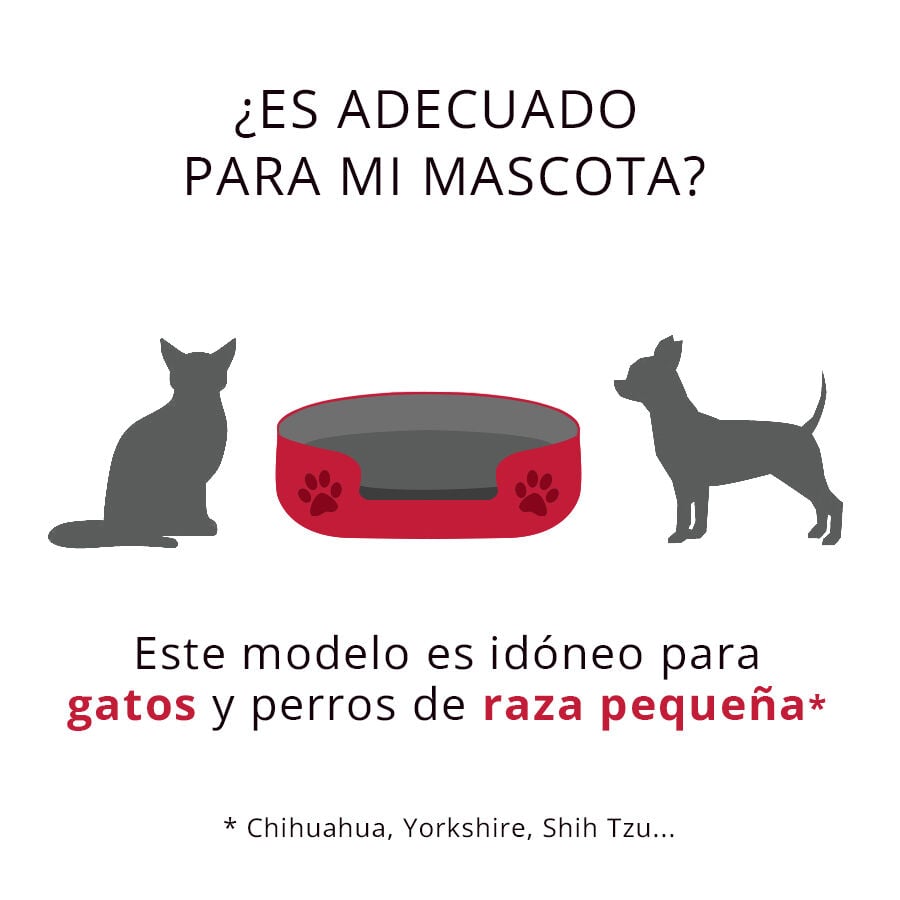 Dogzzz Basic Matt Artic Colchoneta, , large Imagen numero 4