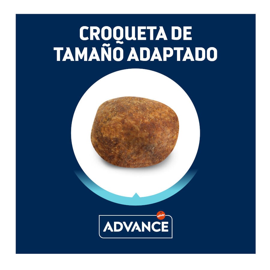 11.5 kg Advance Active Defense Adult Labrador & Golden Retriever Pollo y Arroz pienso para perros, , large indicador imagen numero 2