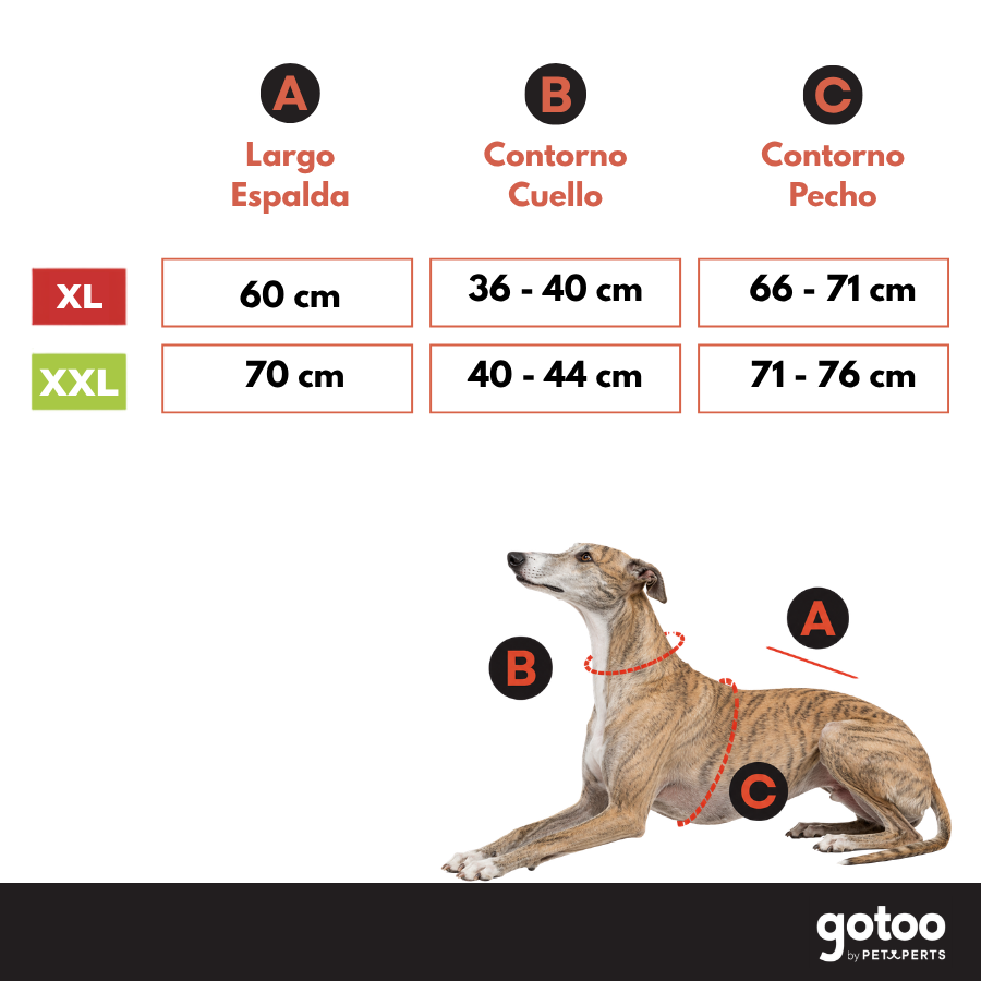 Gotoo Chaqueta Impermeable Rojo para galgos, , large indicador imagen numero 5