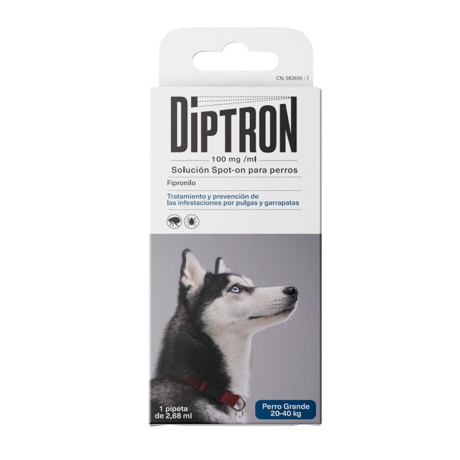 Diptron Spot On Pipetas Antiparasitarias para Perros, , large Imagen numero 1