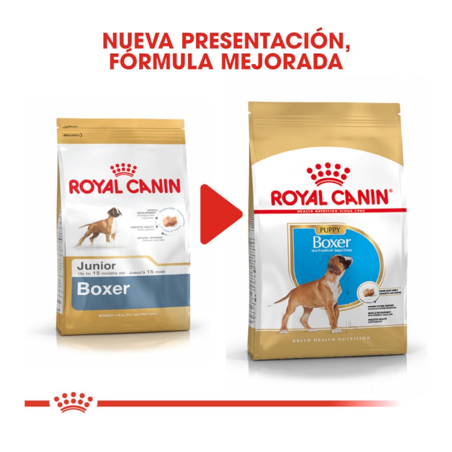 12 kg Royal Canin Puppy Boxer pienso para perros, , large Imagen numero 3