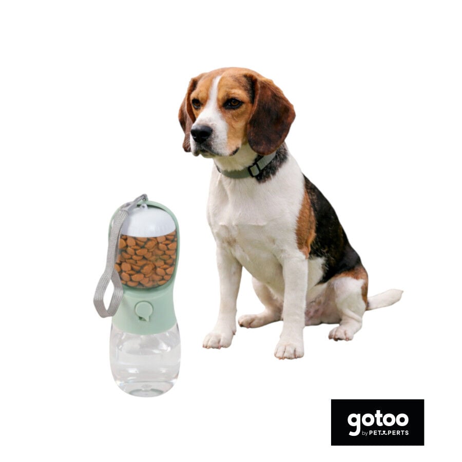 Gotoo Bebedero Comedero Port&aacute;til 2 en 1 para perros y gatos