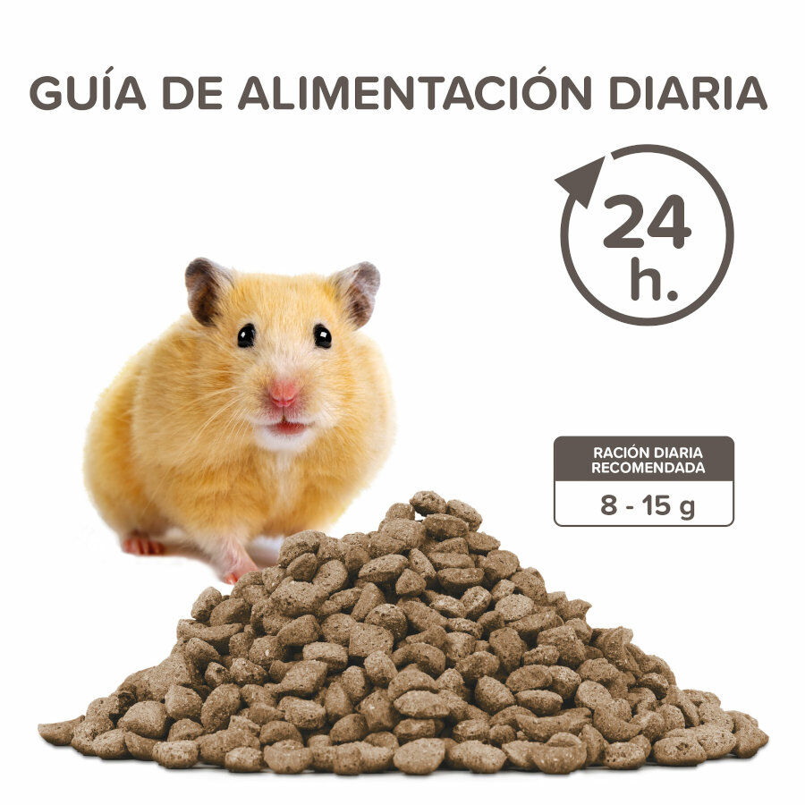Beaphar Care+ H&aacute;mster alimento para h&aacute;msteres, , large Imagen numero 4