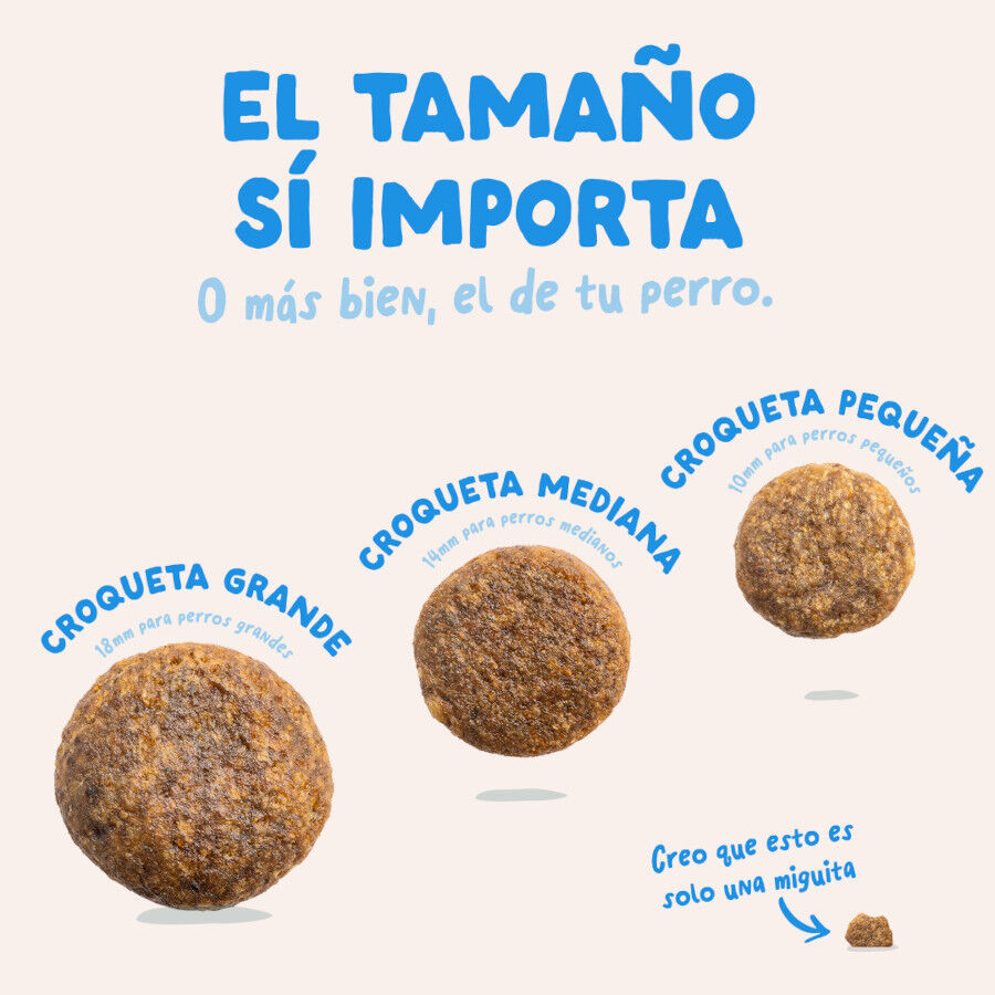 12 kg Edgard & Cooper Adult Salm&oacute;n pienso para perros, , large Imagen numero 5