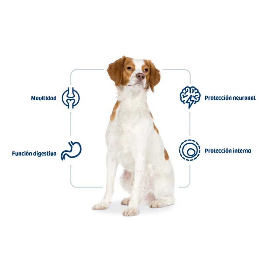 12 kg Nath Adult Medium Pollo pienso para perros, , large indicador imagen numero 2
