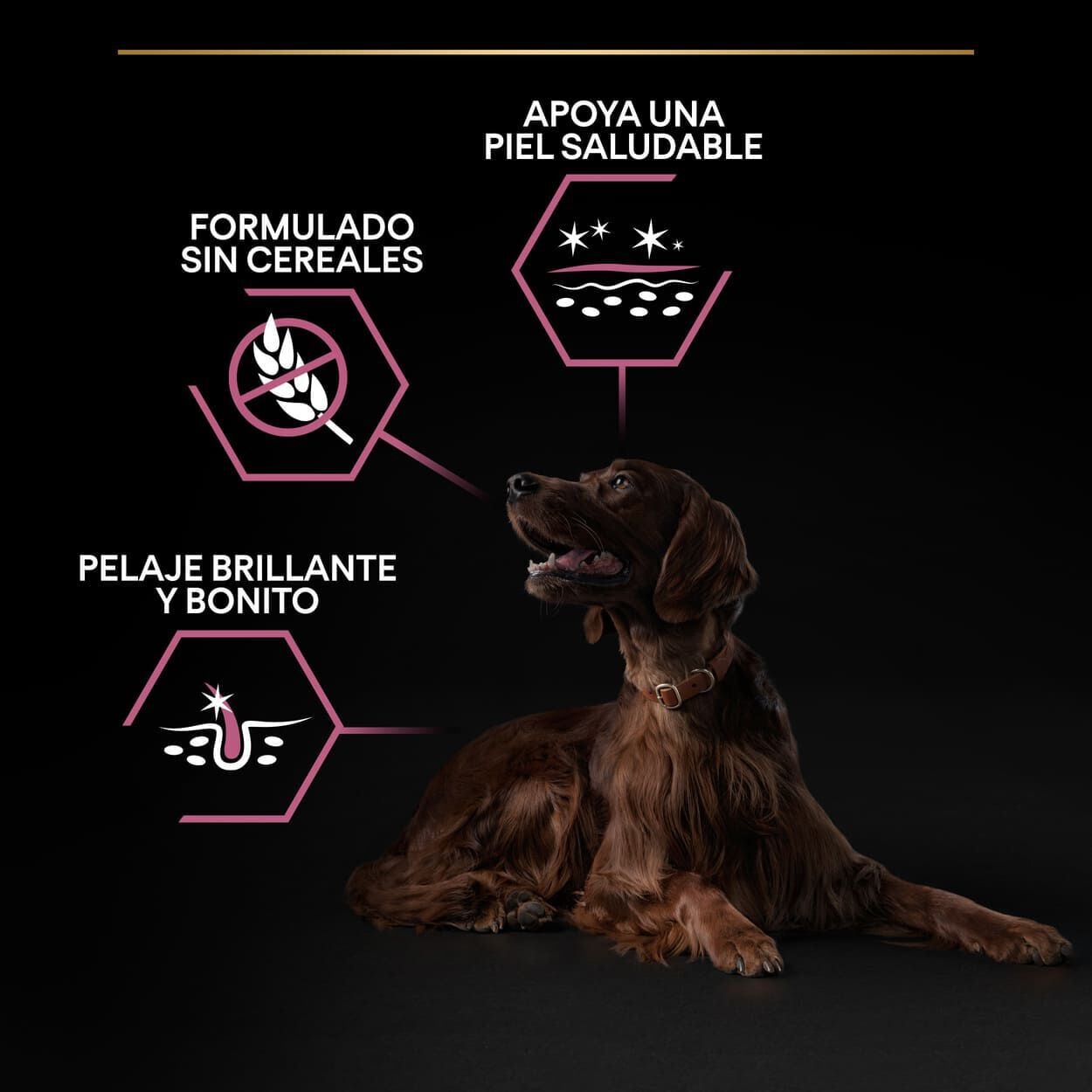 14 kg Pro Plan Large Athletic Adult Salm&oacute;n piel sensible pienso para perros, , large indicador imagen numero 3
