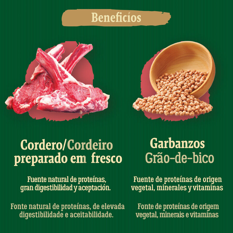 True Origins Wild Forest Cordero Pienso para perros, , large Imagen numero 5