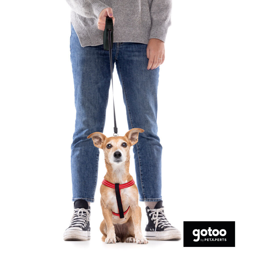 Gotoo Correa extensible negra para perros, , large indicador imagen numero 5
