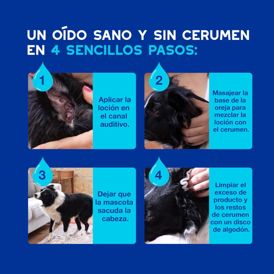Ceva Douxo Spa Limpiador Auricular para perros, , large Imagen numero 8
