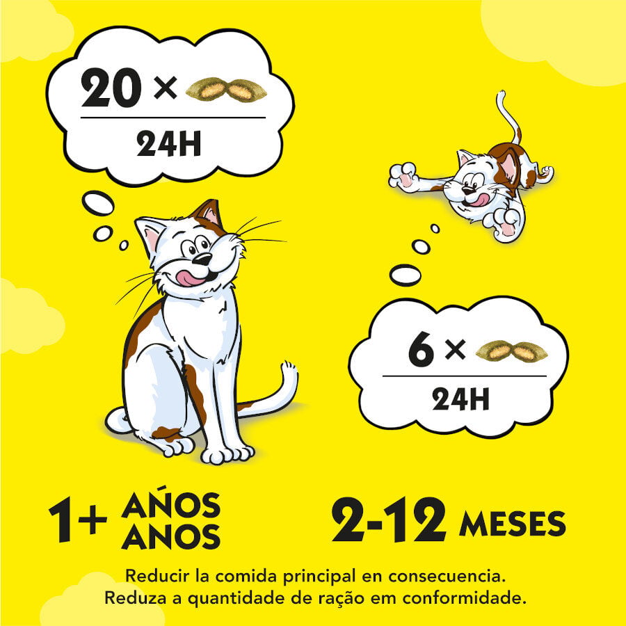 60 g Catisfactions Bocaditos de Hierba Gatera para gatos, , large Imagen numero 3