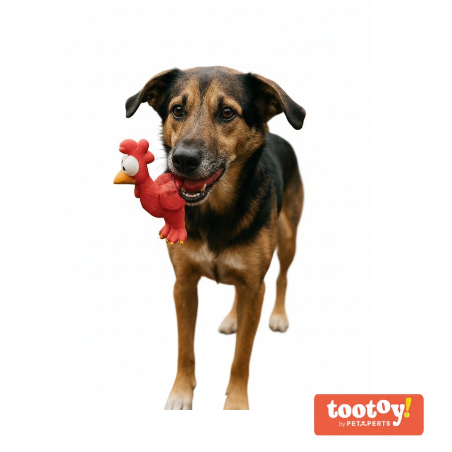Tootoy! Mordedor con Sonido Gallina para perros