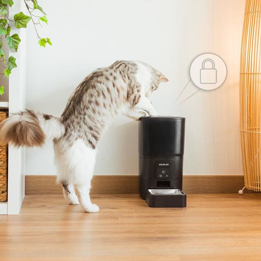 Cecotec Pumba 6000 Purrfect Meal Smart Comedero Autom&aacute;tico para perros y gatos, , large Imagen numero 4