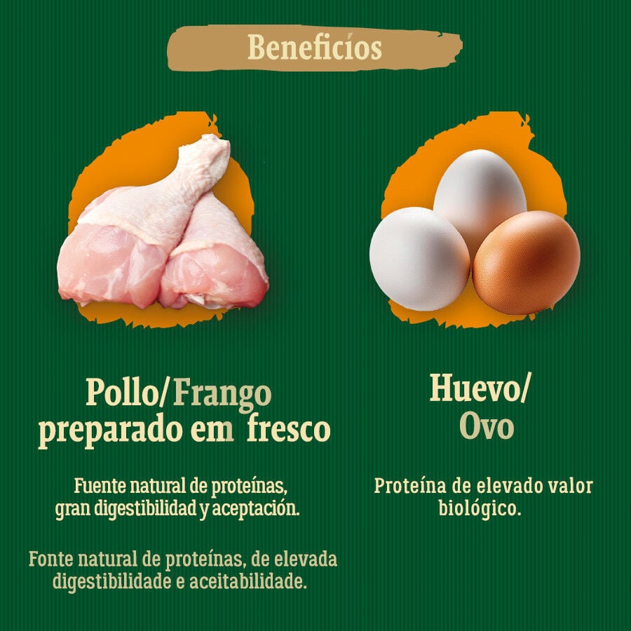 True Origins Wild Senior Country Water Pollo pienso para perros, , large Imagen numero 5