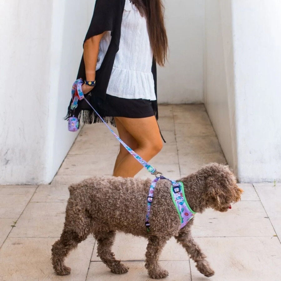 Dukier Correa Estampado Alien para perros, , large Imagen numero 1