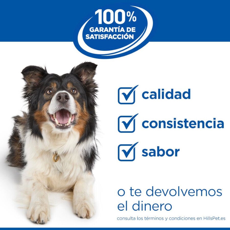14 kg Hill's Science Plan Youthful Vitality Medium Adult Pollo&nbsp;pienso para perros, , large indicador imagen numero 7