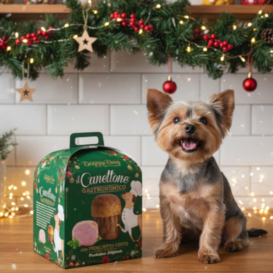 125 g DoggyeBag Snack Canettone Navide&ntilde;o Gourmet para Perros, , large indicador imagen numero 2