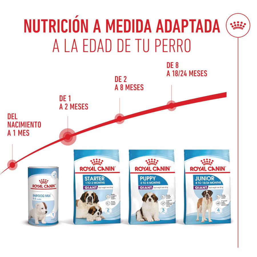 15 kg Royal Canin Starter Puppy Giant Pienso para perros, , large indicador imagen numero 7