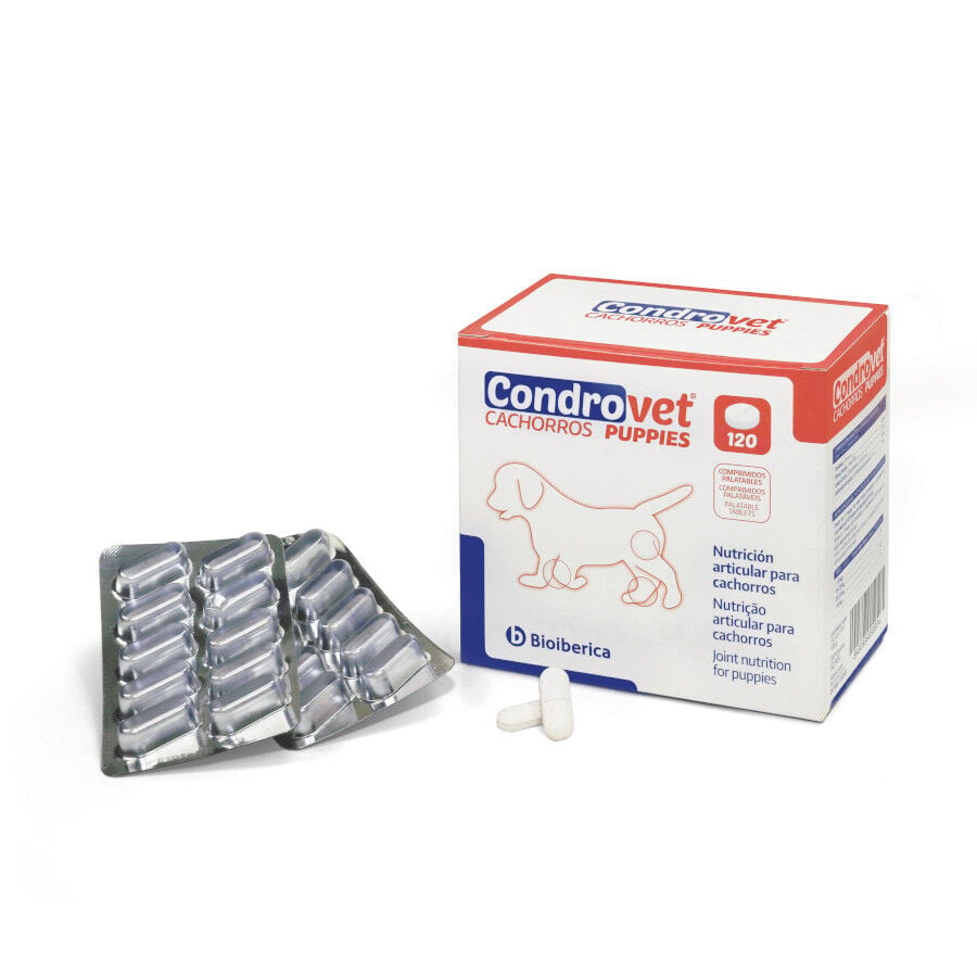 120 comprimidos Bioib&eacute;rica Condrovet Condroprotector articular para cachorros, , large Imagen numero 2