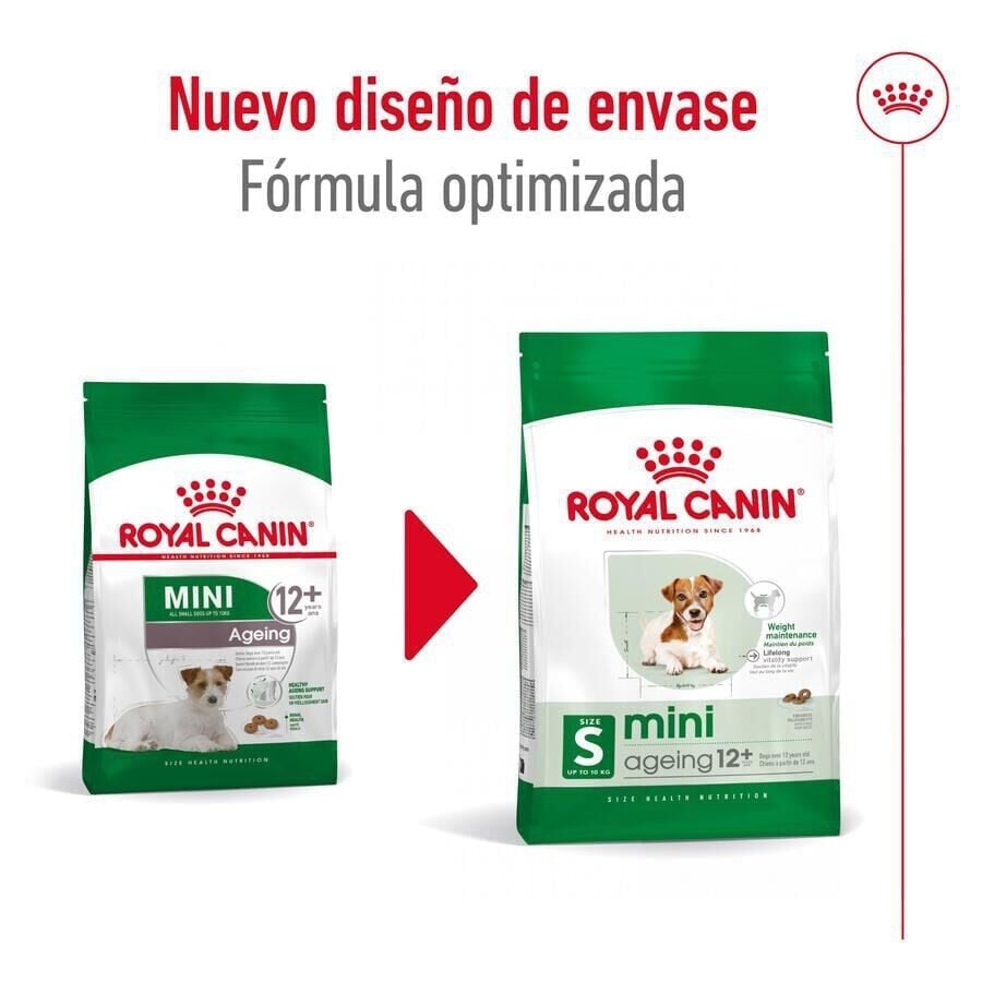 3.5 kg Royal Canin Mini 12+ Ageing pienso para perros&nbsp;senior, , large indicador imagen numero 3