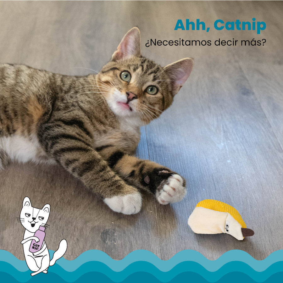 Catstages Dental Peluche Banana para gatos, , large indicador imagen numero 3