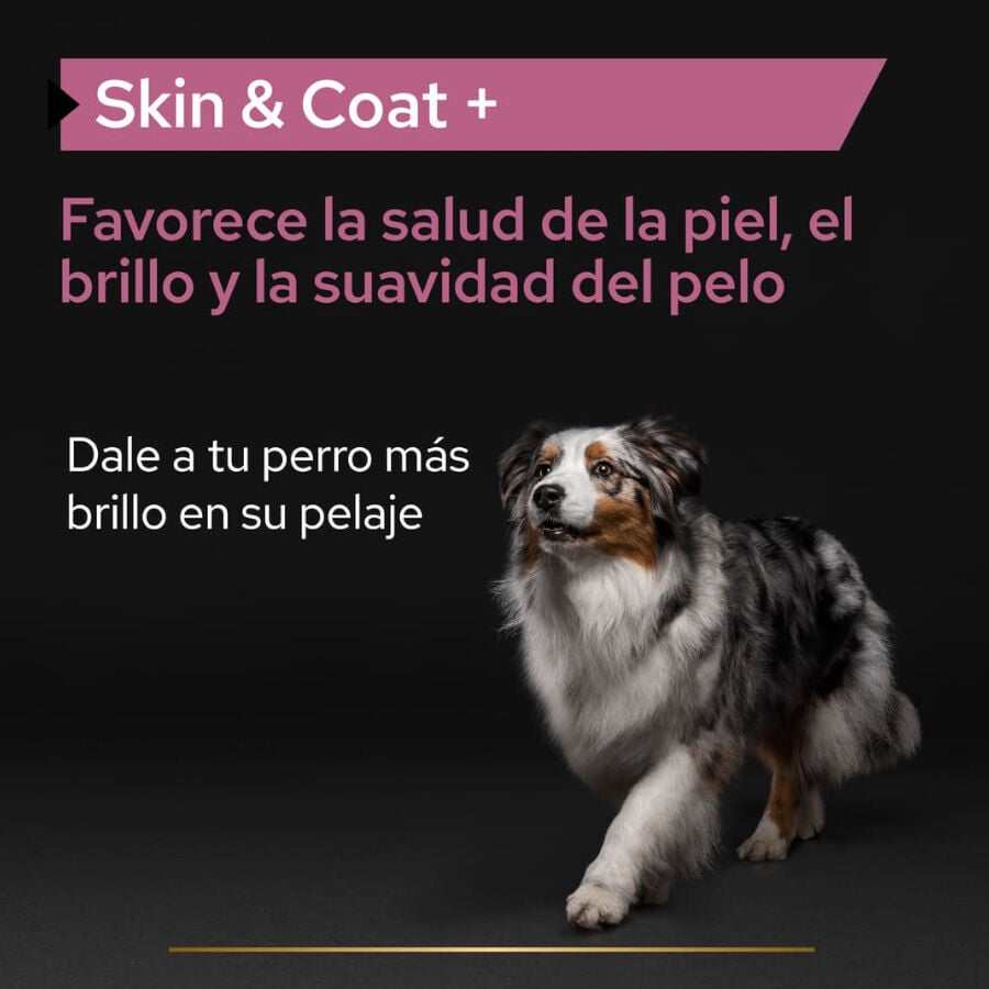 250 ml Pro Plan Skin & Coat Suplemento en Aceite para perros, , large indicador imagen numero 7