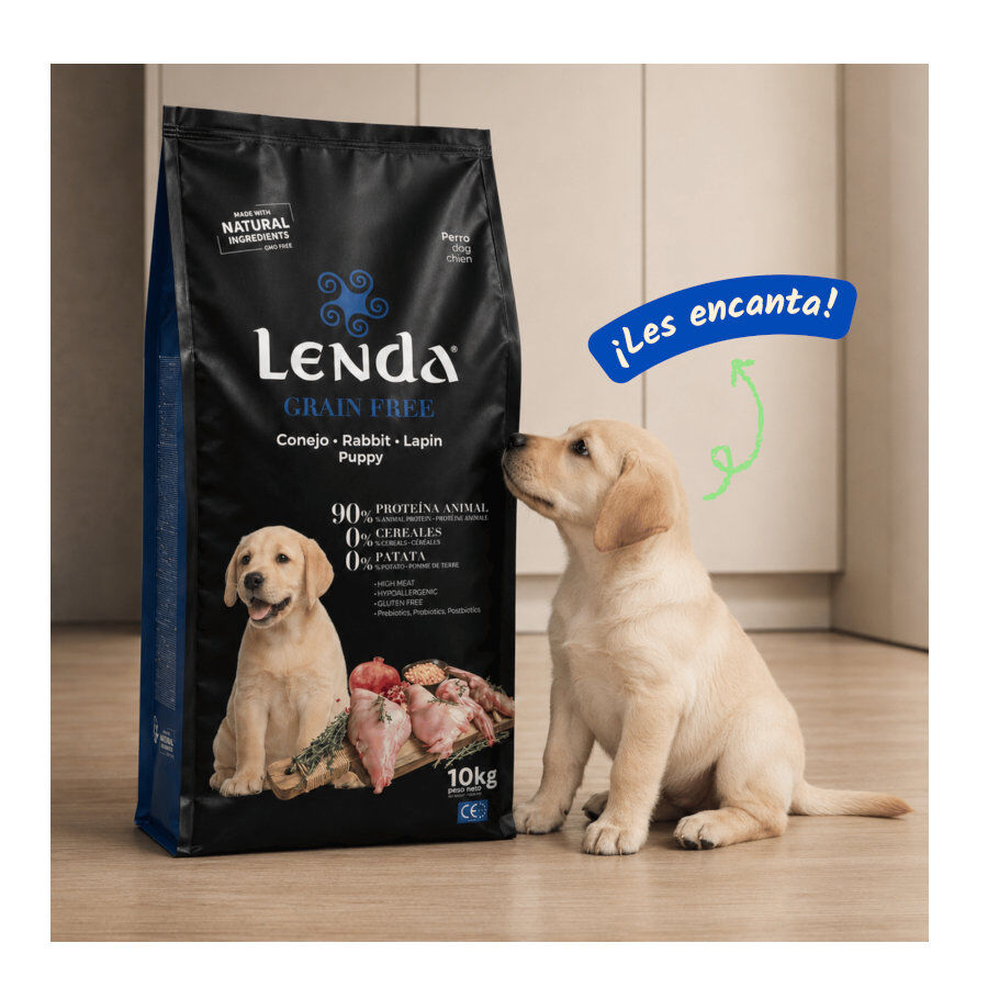 10 kg Lenda Grain Free Conejo puppy pienso para perros, , large indicador imagen numero 5