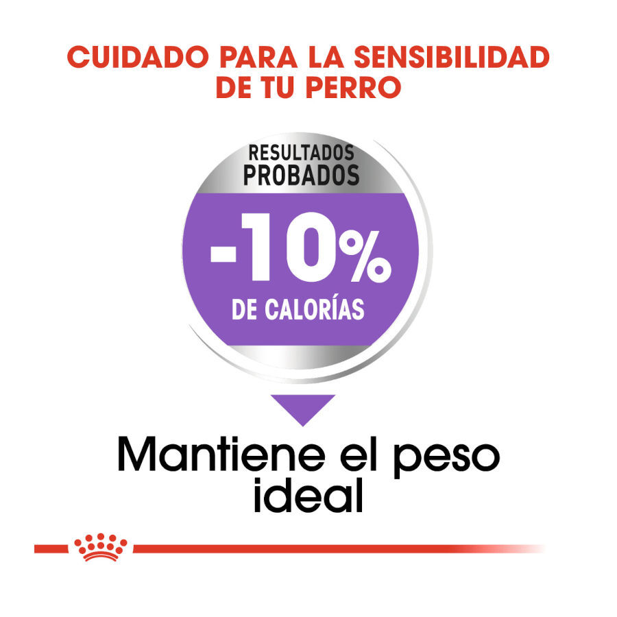 3 kg Royal Canin Sterilised Medium pienso para perros, , large Imagen numero 6