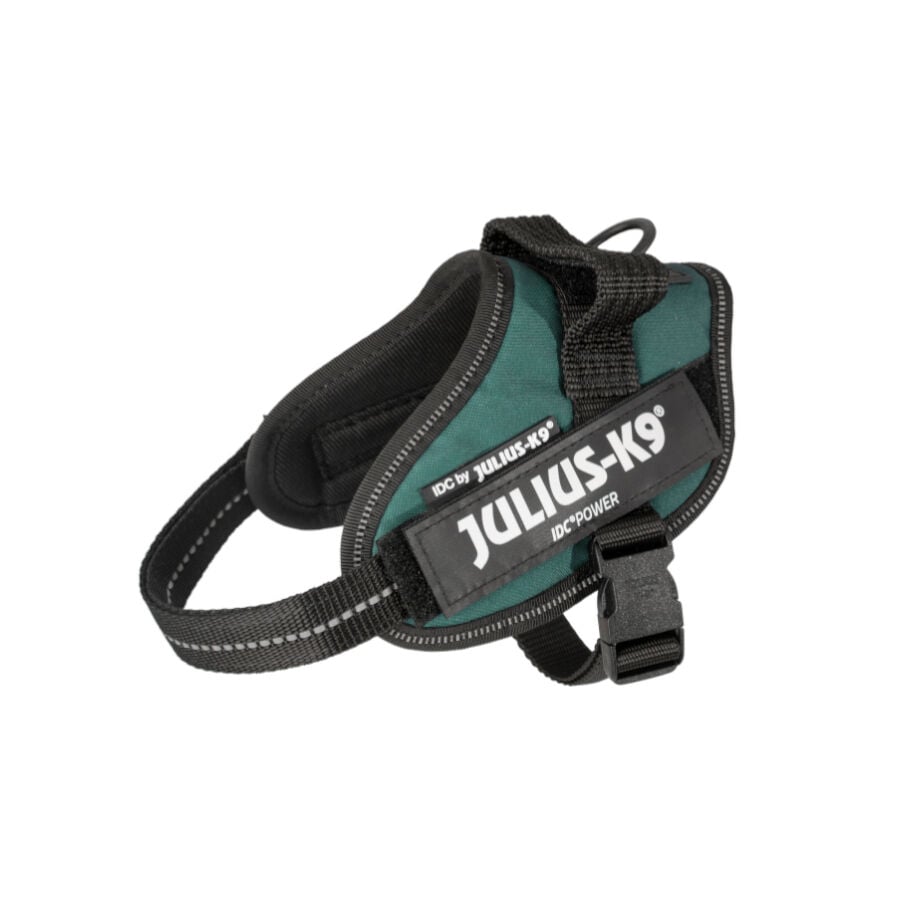 Julius K-9 IDC Arn&eacute;s Verde para perros
