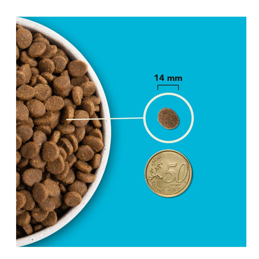 11.4 kg Acana Pac&iacute;fica pienso para perros, , large Imagen numero 8