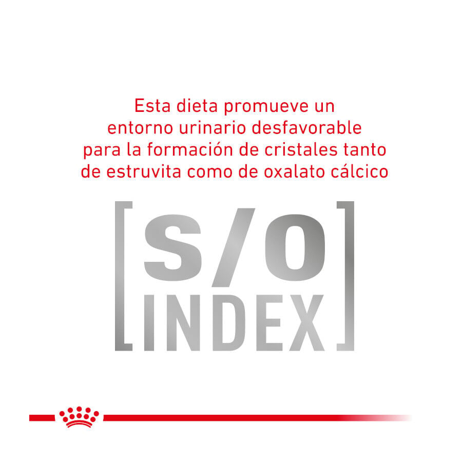 4 kg Royal Canin Veterinary Gastrointestinal Fibre Response pienso para gatos, , large indicador imagen numero 6