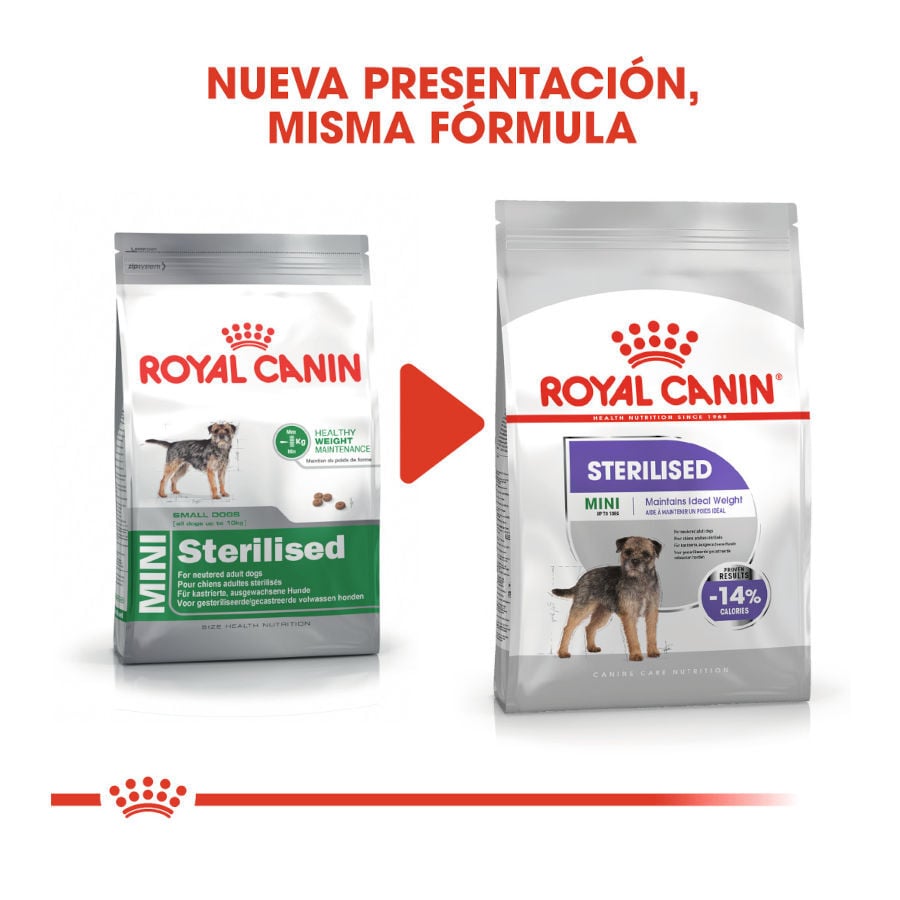 8 kg Royal Canin Sterilised Mini pienso para perros, , large Imagen numero 3