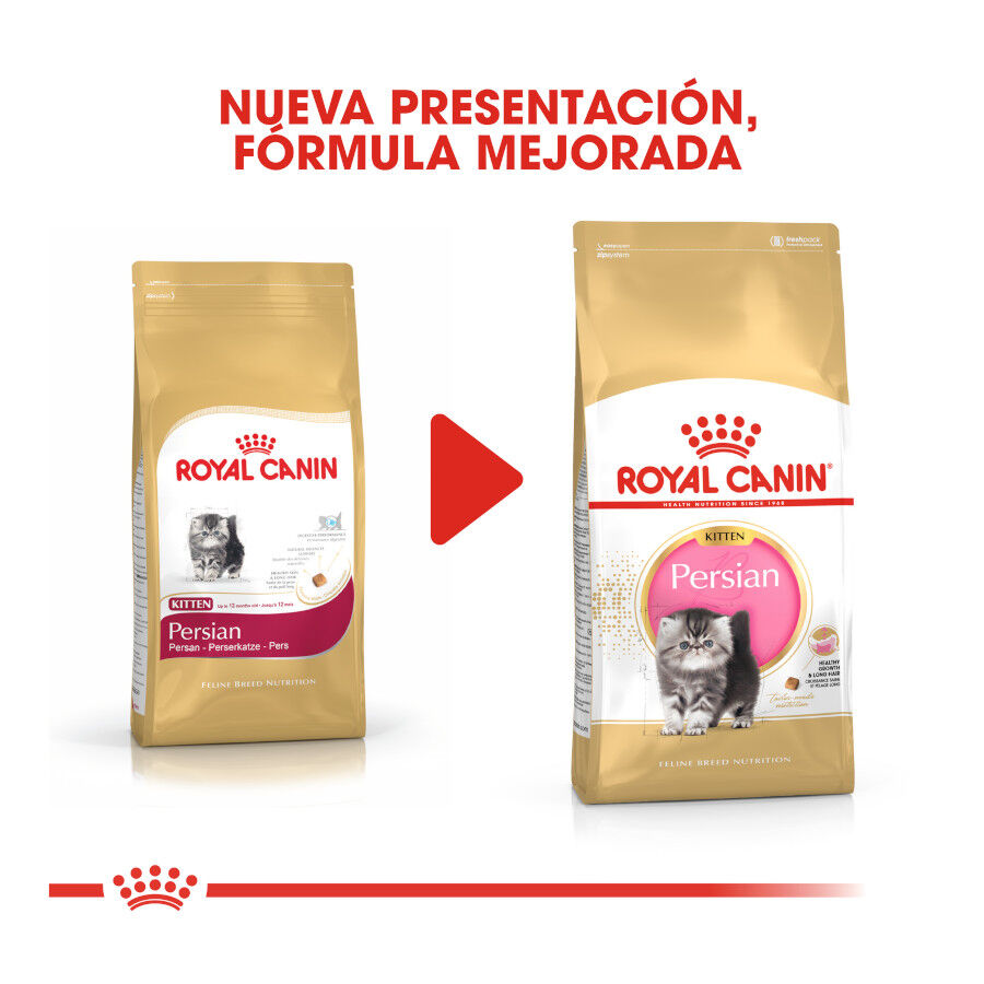 10 kg Royal Canin Kitten Persia pienso para gatos, , large indicador imagen numero 3